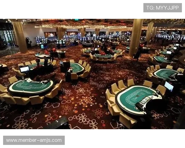 澳门有哪些著名的赌场和娱乐场所可以体验豪华博彩娱乐的详细介绍